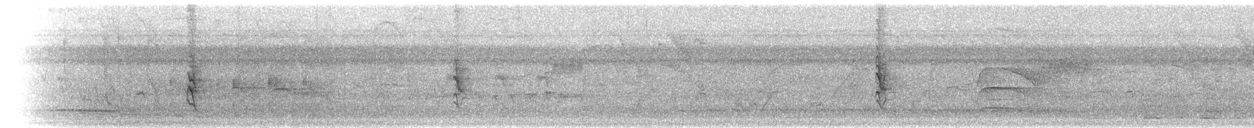 Зерноїд плямистокрилий - ML302197