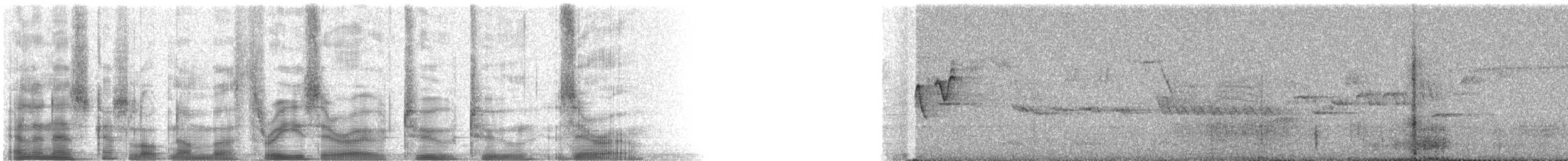 Magnolia Warbler - ML30220