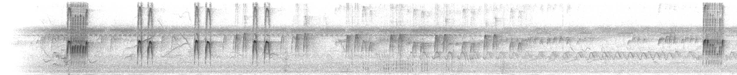 Fleckenbrust-Todityrann - ML302200