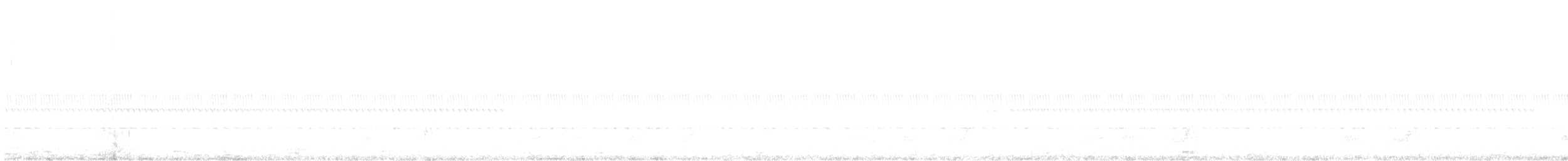 Mexikonachtschwalbe - ML302201141