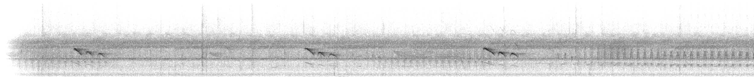 White-flanked Antwren (White-flanked) - ML302211