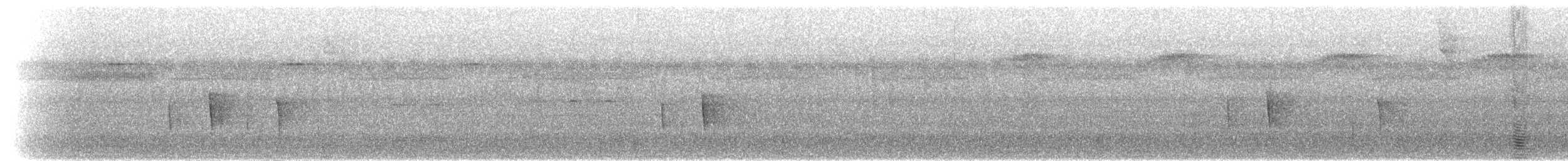 Тиран-малюк гвіанський - ML302250