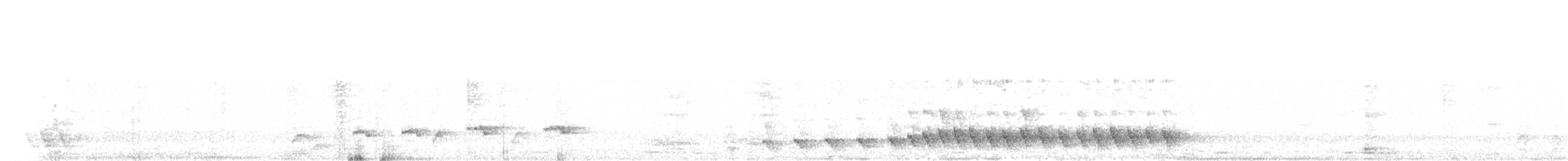 Белобровый рыжехвост - ML302267561