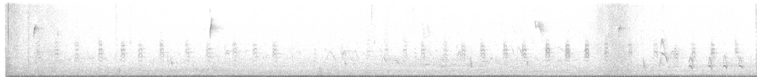 Hermit Thrush (faxoni/crymophilus) - ML302347471
