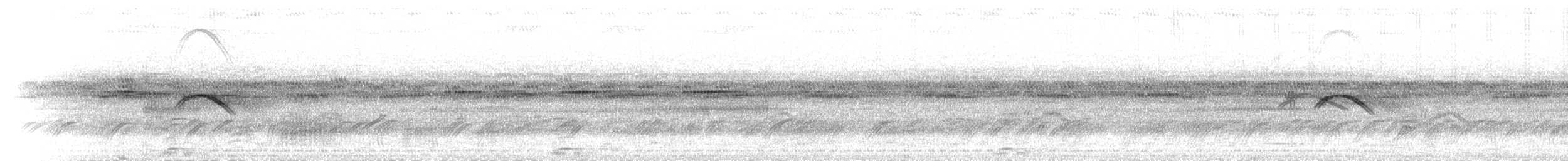 White-tailed Nightjar - ML302358