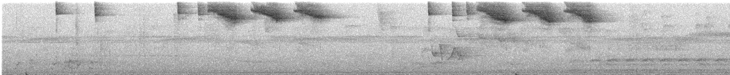 Pectoral Sparrow - ML302374071