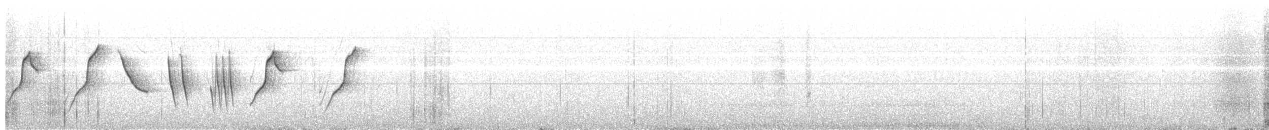 Свертушка чорновола - ML302378361