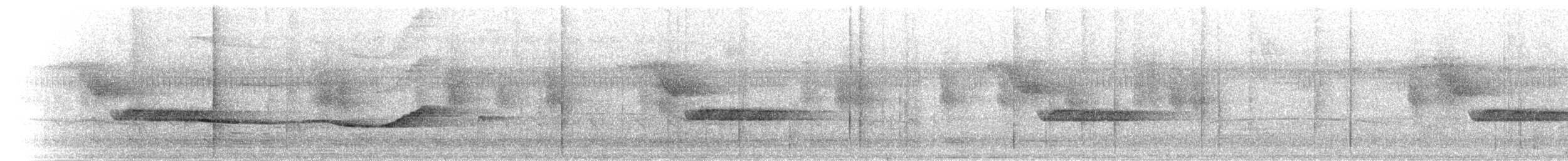 Olivaceous Schiffornis - ML302384