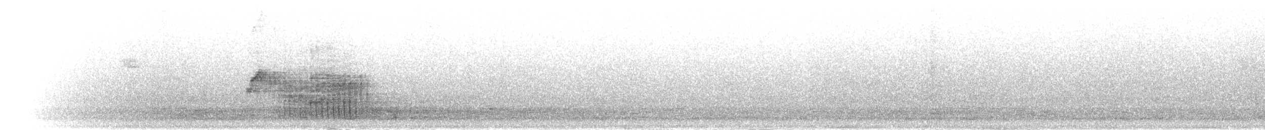 クロマイコドリ - ML302402