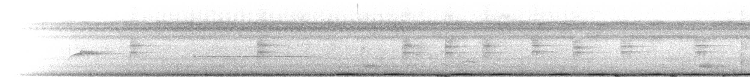 auroraskjeggfugl - ML302430