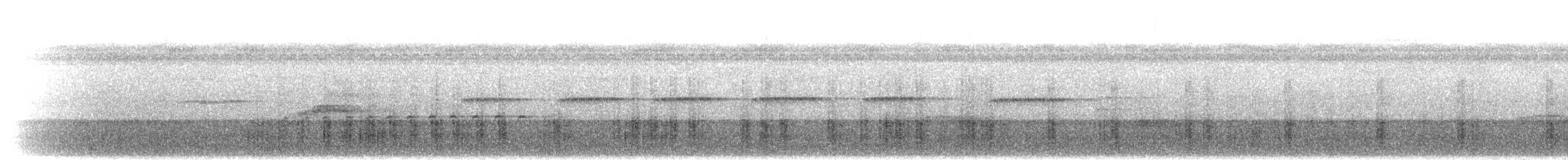 auroraskjeggfugl - ML302431