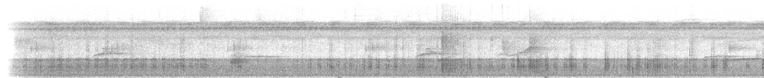 auroraskjeggfugl - ML302432