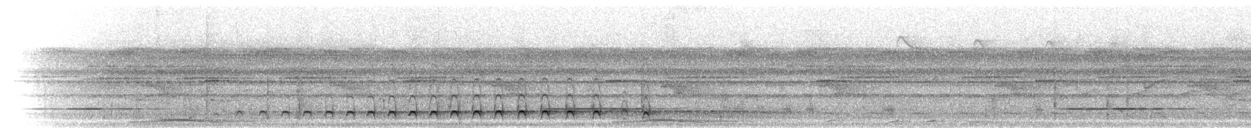 ヒメキヌバネドリ - ML302451