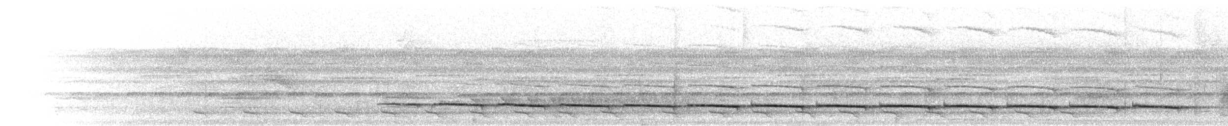 svartbrystmaurvarsler - ML302455