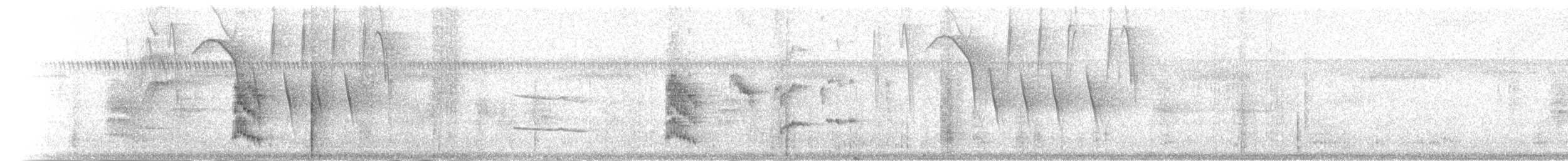 Манакін-короткокрил білочеревий - ML302474