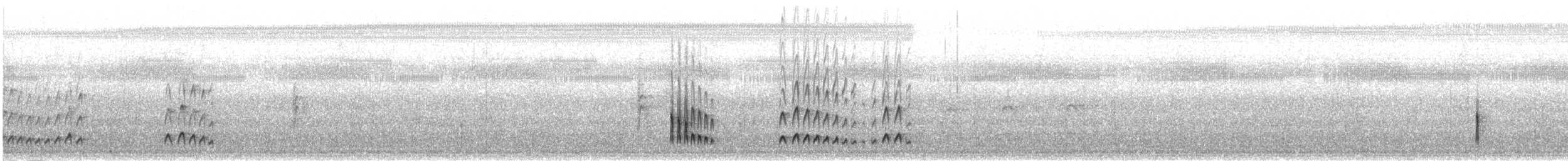 Smoky-fronted Tody-Flycatcher - ML302479