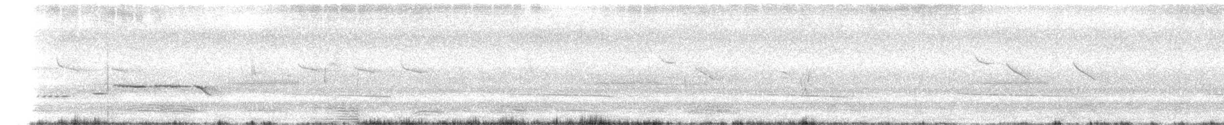 Black-eared Cuckoo - ML302545151