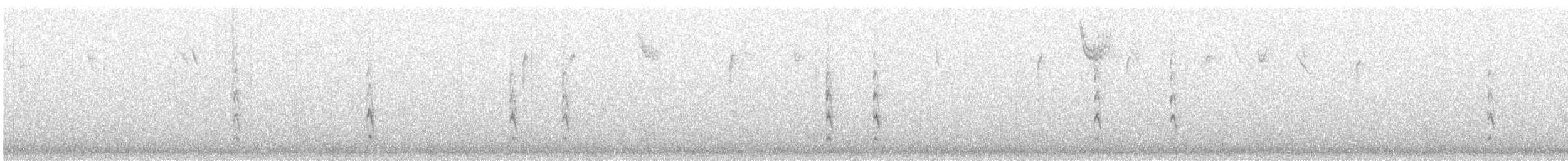 Winter Wren - ML302557431