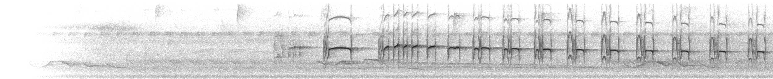 lenivka strakatá (ssp. subtectus) - ML302577