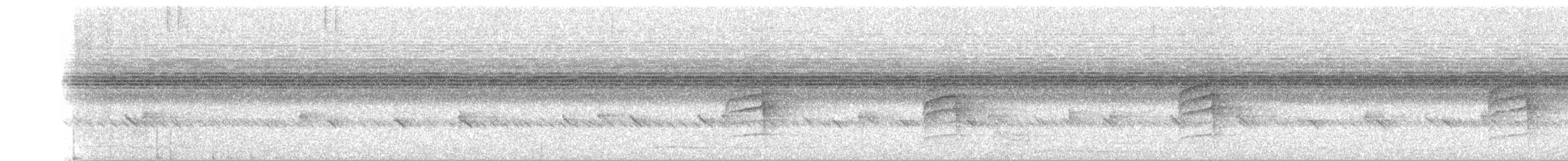 Camaroptère à tête grise (groupe brevicaudata) - ML30258791