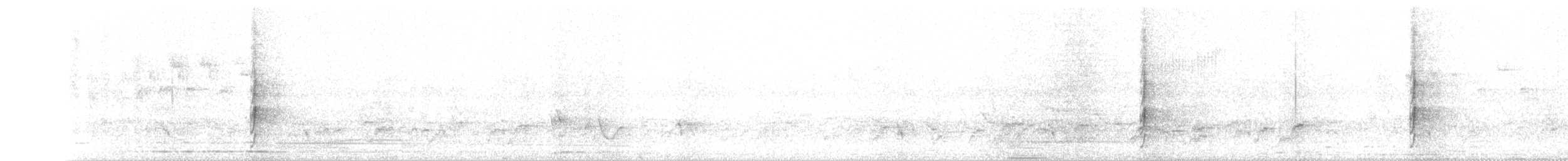 African Goshawk - ML30258851