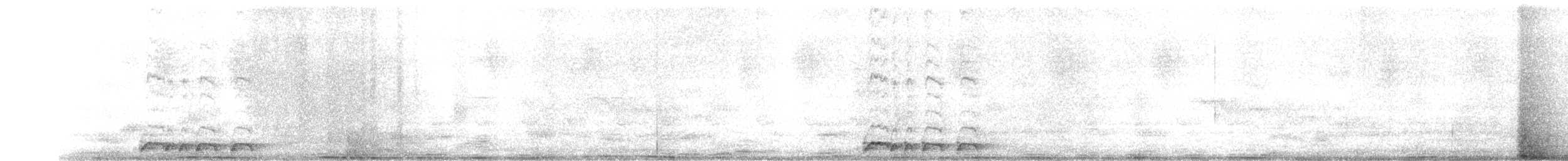 holoubek vlnkovaný - ML302588961