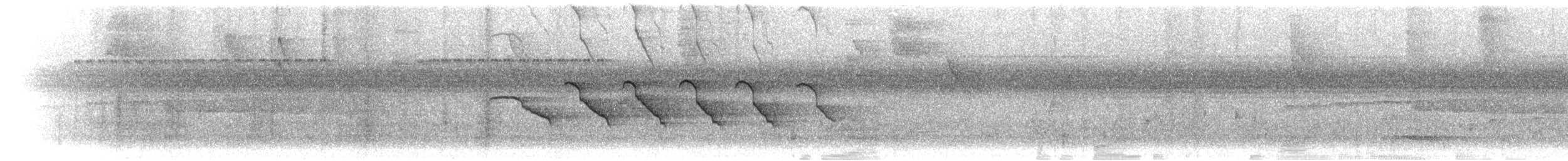 klatremaurvarsler (anabatinus gr.) - ML302598