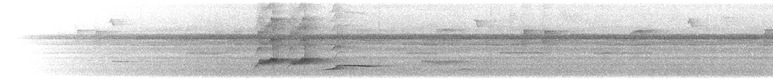 Cuervo de Célebes - ML302625821