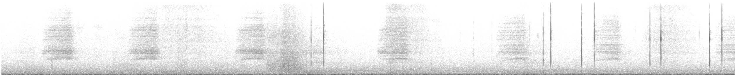 American Barn Owl - ML302626371