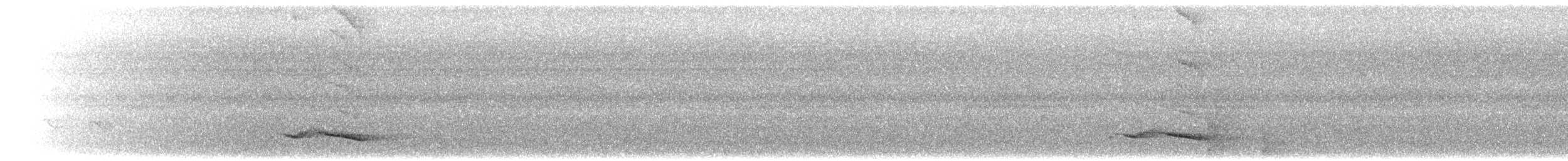 svartnakkepirol (frontalis gr.) - ML302626661
