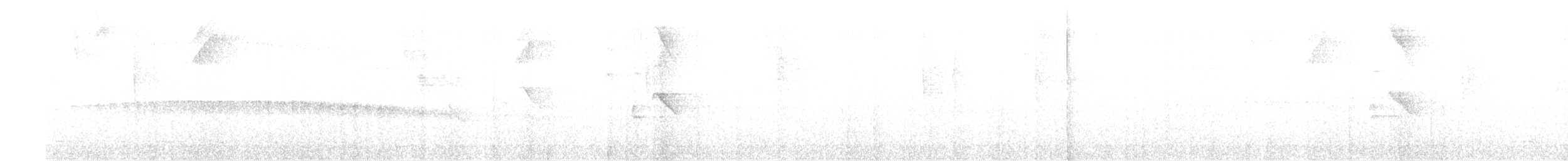 シロボシズグロアリドリ - ML302636821