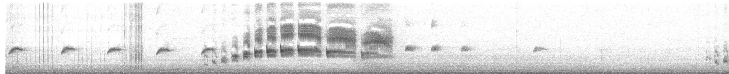 Canyon Wren - ML302659911