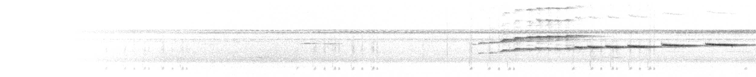 Schuppenbrust-Zaunkönig (luscinia) - ML302662