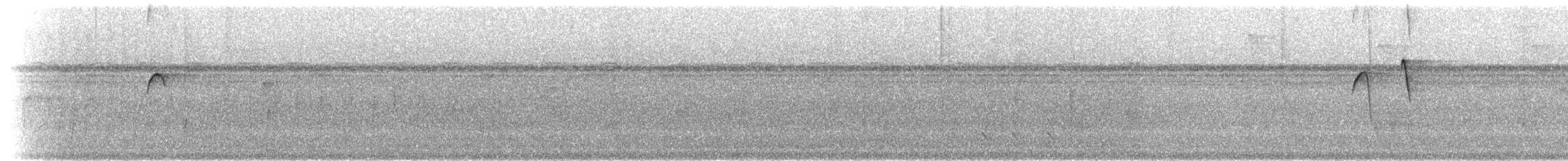 klatremaurvarsler (anabatinus gr.) - ML302664