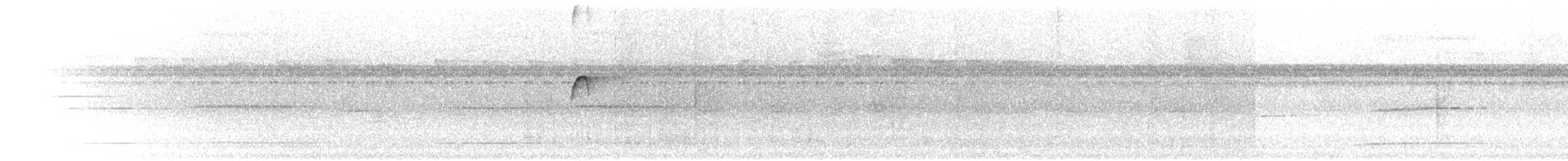 klatremaurvarsler (anabatinus gr.) - ML302667