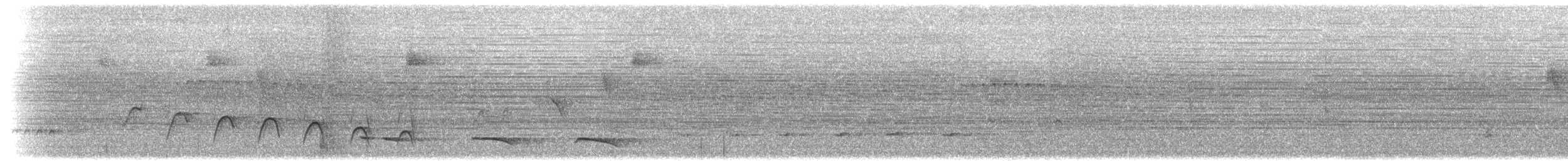White-flanked Antwren (White-flanked) - ML302740