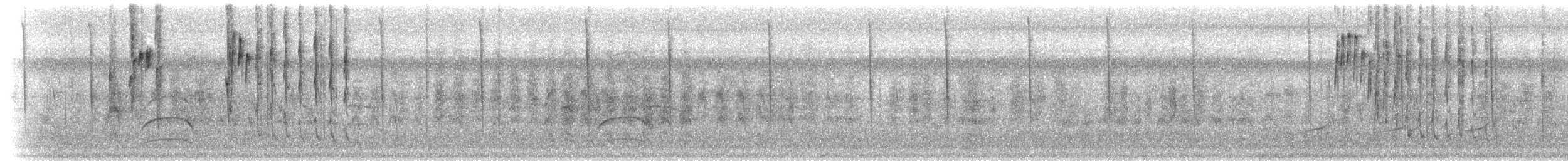 Синегорлый колибри - ML302815