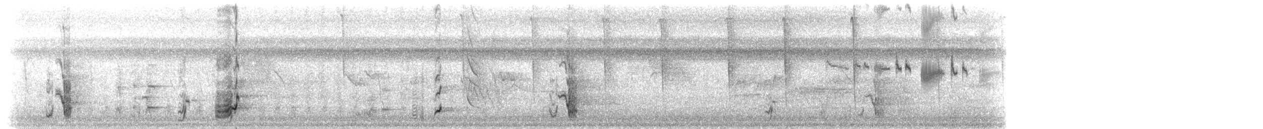 Amazone à lores rouges ou A. lilacée - ML302819