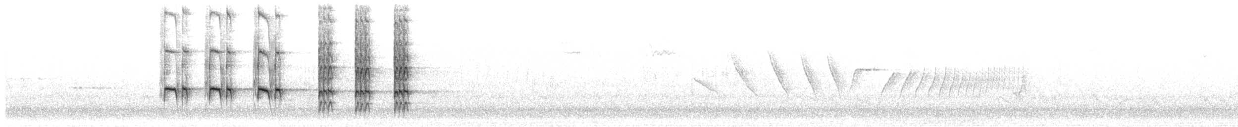 Quiscale à longue queue (groupe mexicanus) - ML302834221