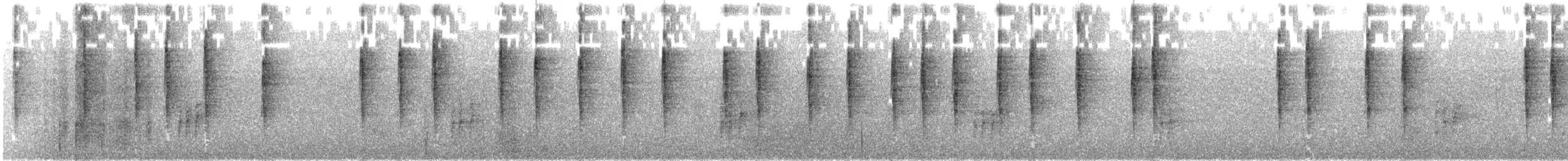 Şerit Karınlı Çıtkuşu - ML302835411