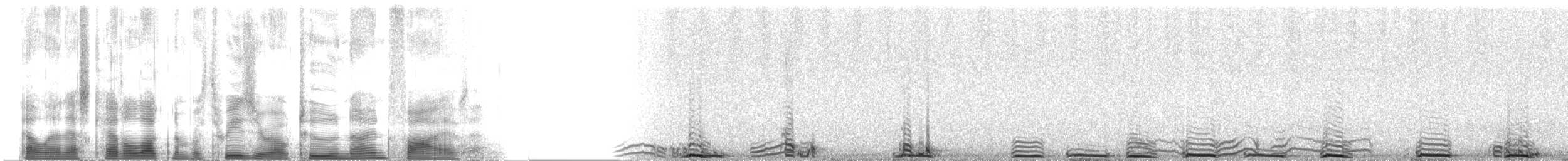 Sharp-tailed Grouse - ML30295