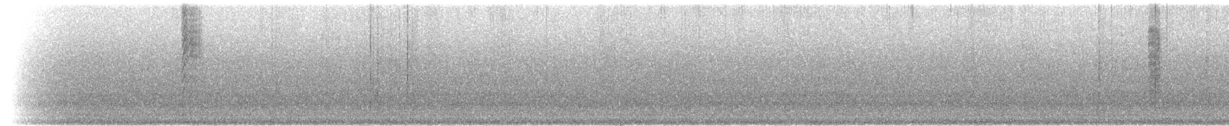 Белогорлый солнечник (castaneoventris) - ML302956