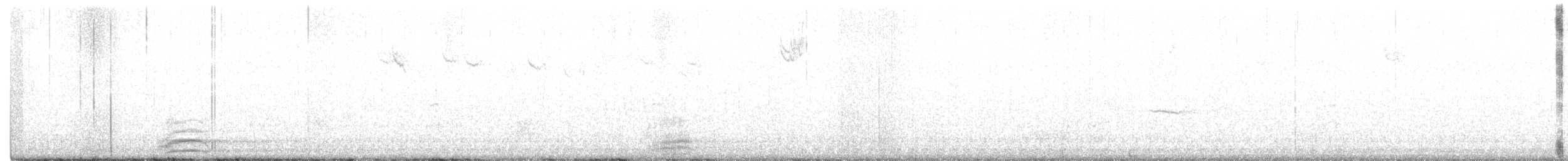 Cuervo Grande - ML303055041