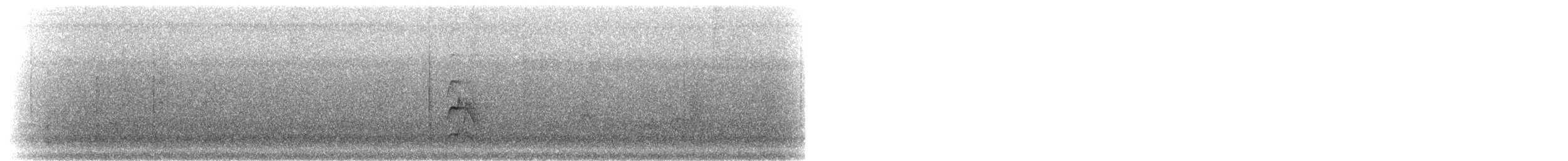 パナマヒタキモドキ - ML303120