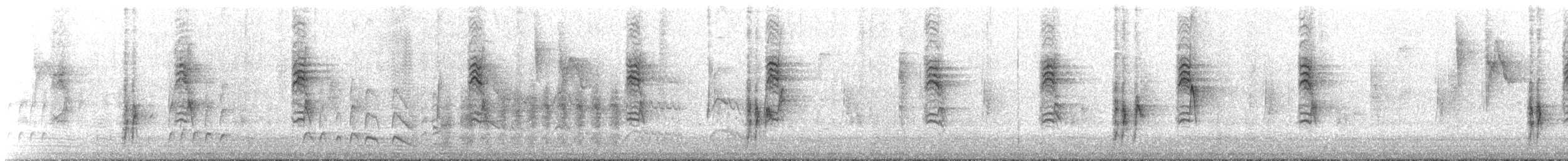 Magnolia Warbler - ML303127811