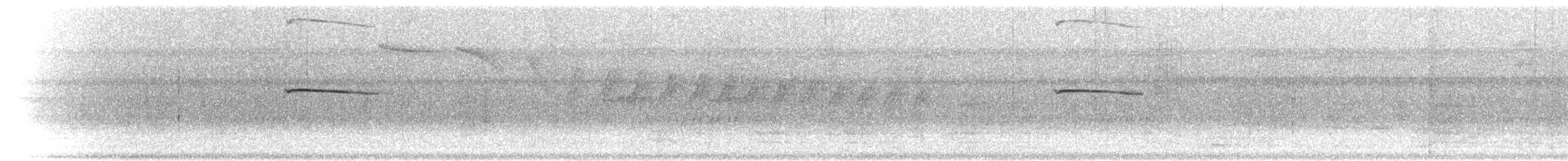 Лінивка-строкатка маскова (підвид subtectus) - ML303130