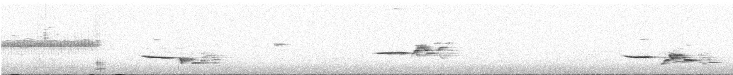 Hermit Thrush - ML30315761