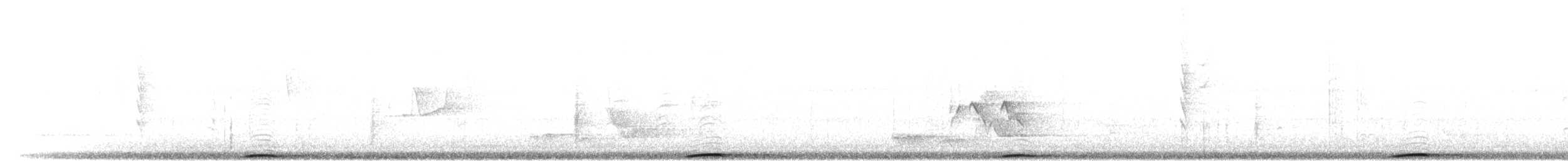 Motmot caraïbe (groupe subrufescens) - ML303164