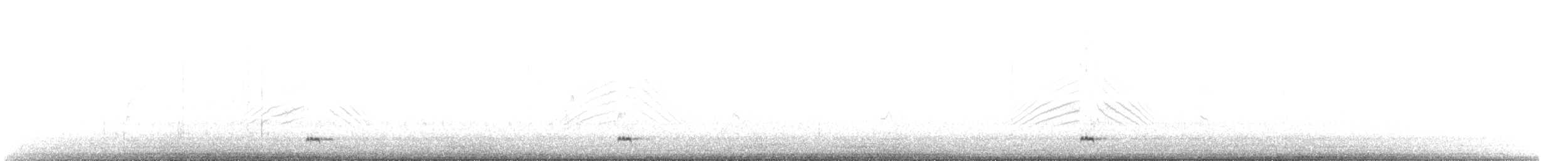 Чирянка жовтодзьоба (підвид flavirostris) - ML303165651