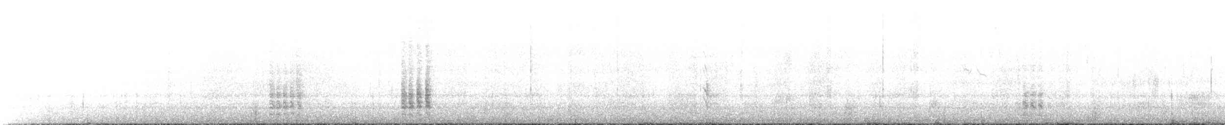 Патагонский курен - ML303172171
